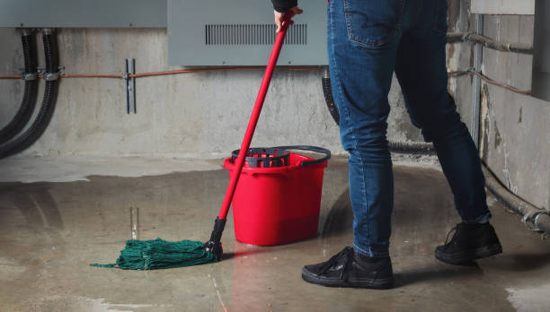 Best Residential water damage restoration  in Coosada, AL