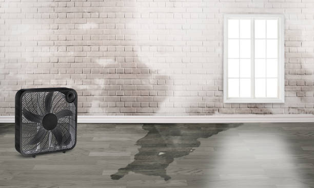 Best Professional water damage repair  in Coosada, AL