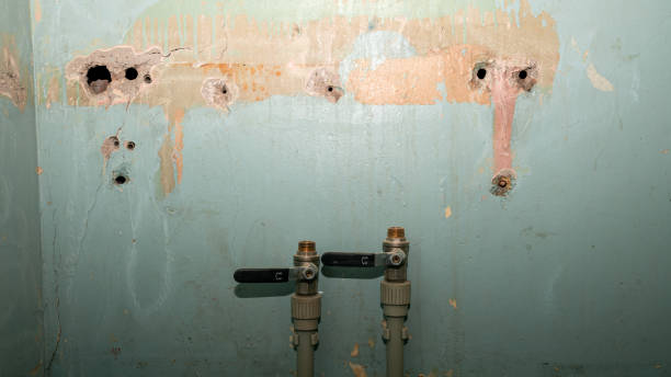 Best Carpet water damage restoration  in Coosada, AL