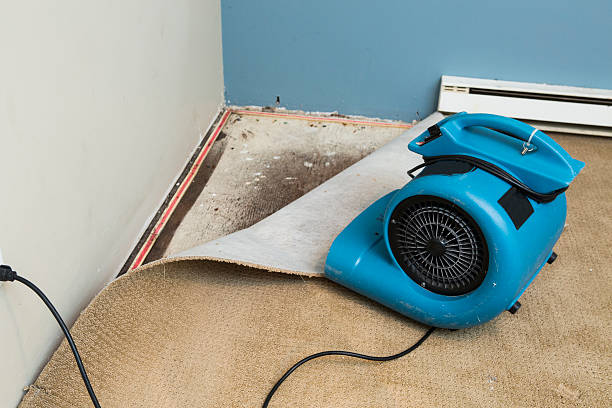 Best Water damage cleanup near me  in Coosada, AL